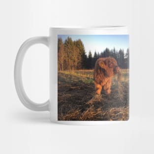 Scottish Highland Cattle Calf 1849 Mug